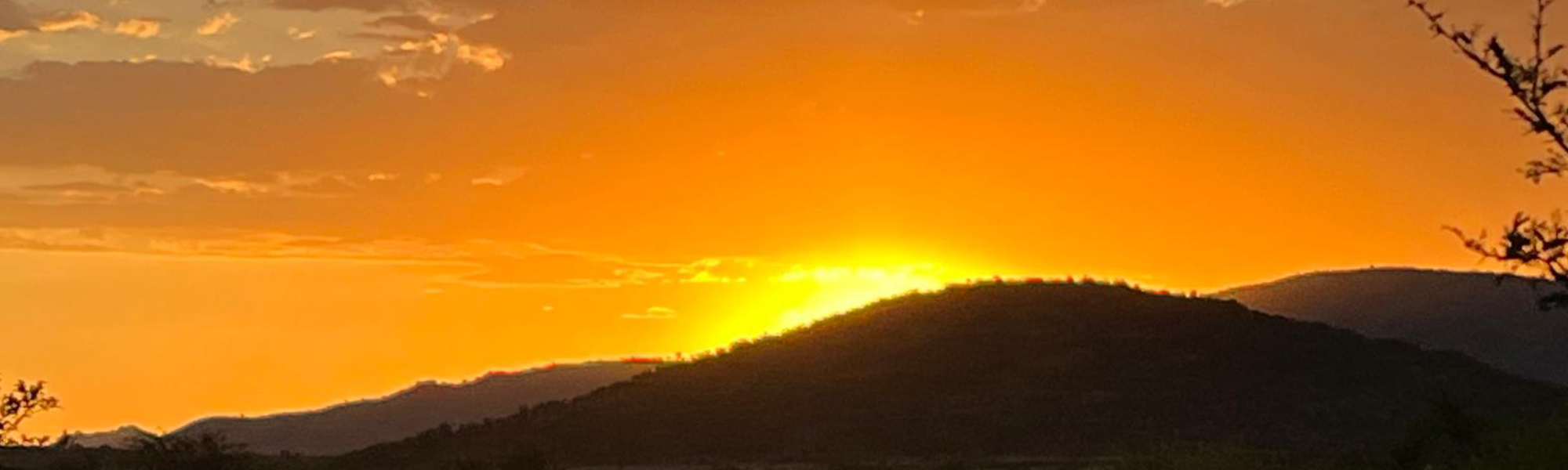 Sunset Web Banner1